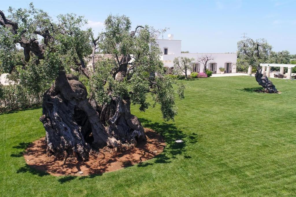 Masseria Il Frantoio By Raro Villas Ostuni Eksteriør billede
